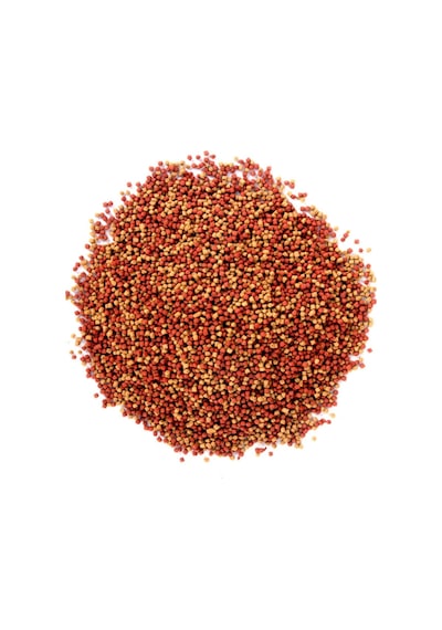 Tr Gold Mix Granulat 6x100ml Japon Balık Yemi Ve Vitamini