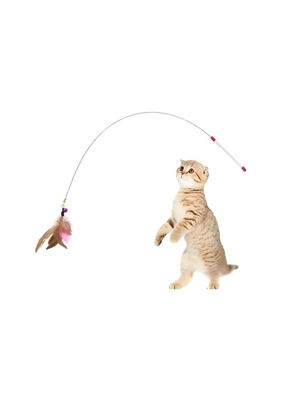 Bezos Kedi Oltası Kalın Telli Monofilli 10 Lu Paket Karışık Bezos1