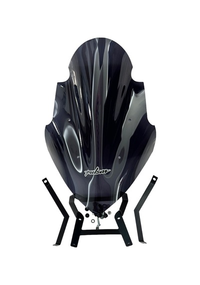 Bajaj Pulsar Ns 200 Tur Camı 46 Cm