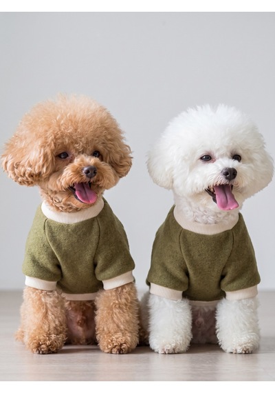 Natura Köpek Polar Sweatshirt Kapüşonsuz Yumuşak Polar Köpek Kıyafeti Nefti Yeşil