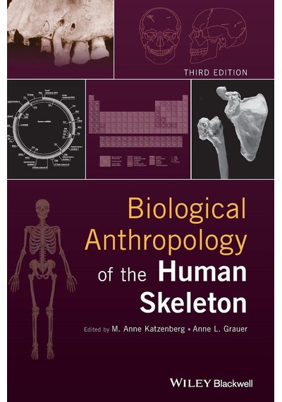 Biological Anthropology Of The Human Skeleton