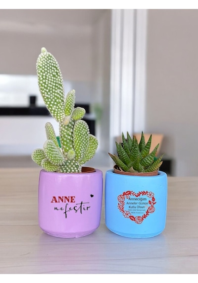 Anneler Günü Anneye Ve Eşe Özel El Yapımı Hediye Saksı Çiçeksiz Model 3