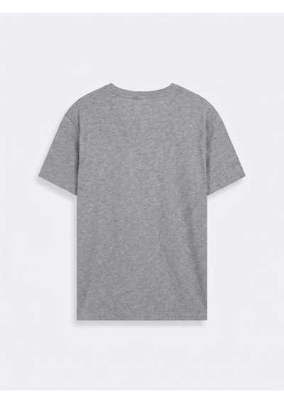 LTB Vintage Efektli Relaxed Fit Gri T-shırt