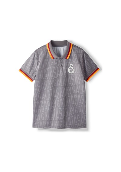 Gsstore Galatasaray Match Day Polo T-shirt C251319 Gri