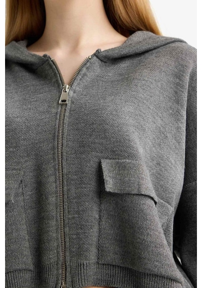 DeFacto Regular Fit Kapüşonlu Basic Düz Fermuarlı Triko Hırka E2270AXNSGR105 Gri