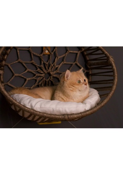 Kedi Köpek Kalorifer Askılı Yatak