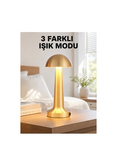 Şarjlı Dimmerli Led Masa Lambası 4-8 Saat Aydınlatma Yeni Nesil - Hs08374138-7957 Renkli Renkli