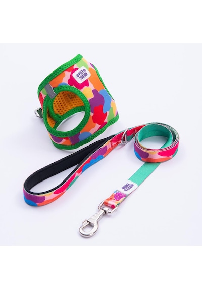Rainbow Crew Göğüs Tasması Ve Sevk Kayışı Tasma Seti Renkli Kedi Köpek Göğüs Tasması Seti M Çok Renkli
