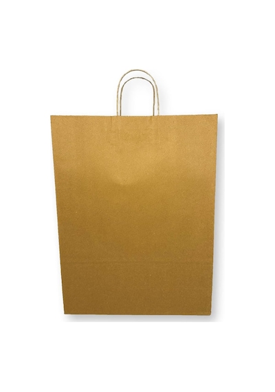 Burgu Saplı Karton Çanta 31x12x41 25 Adet Diğer