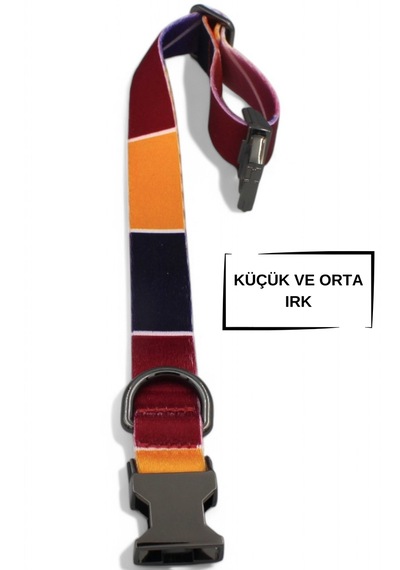 Caramelos Köpek Tasması-küçük Irk Ve Orta Irk İsimli Tasma 01 Sarı - Siyah