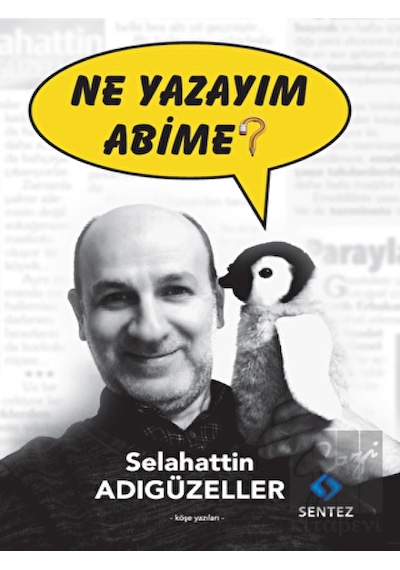 Sentez Yayınları - Ne Yazayım Abime?