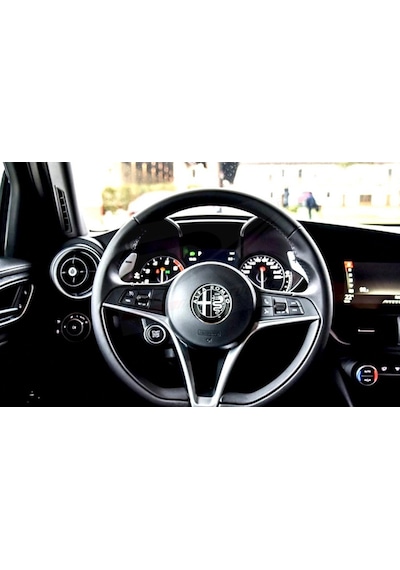 Alfa Romeo Direksiyon Göbeği Logo 40Mm