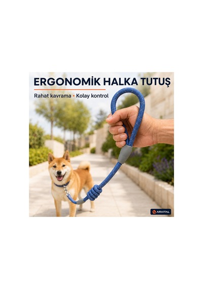 Evcil Hayvan Fitil Gezdirme Tasması 10 Mm X 120 Cm Kedi Köpek Gezdirme İpi Çok Renkli