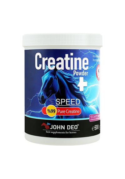 Creatine 500 Gr