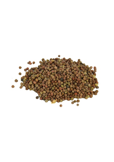 Lokman Doğal Burçak Tohumu 100 G