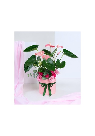 Pembe Antoryum Çiçeği - 939442402