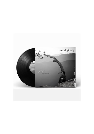 Erdal Güney - Perihel-afel Enstrümantal Plak