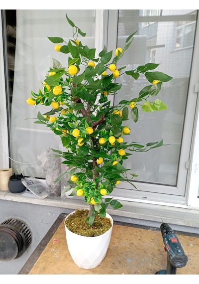 Limon Ağacı Yeşil Yapraklı Doğal Görünümlü Yapay Ağaç 100 Cm Beyaz