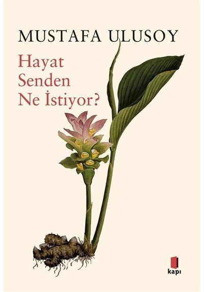 Hayat Senden Ne İstiyor / Mustafa Ulusoy