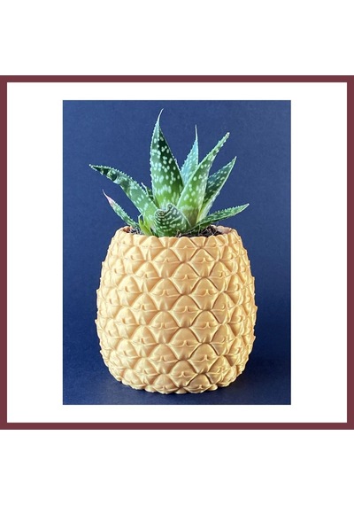 Storeşahin 3d Baskı Ananas Formlu Saksı Ve Kalemlik Kabartma Dokulu Sukulent Saksısı Masaüstü Bitki Ve Kalem Tutucu Shn0720