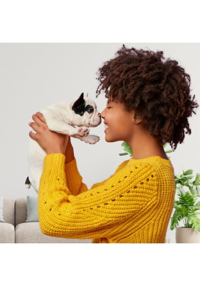 Tr Maracuja Shampoo Long Coat Uzun Tüylü Kedi Ve Köpekler İçin Çarkıfelek Meyveli Şampuan 500 Ml