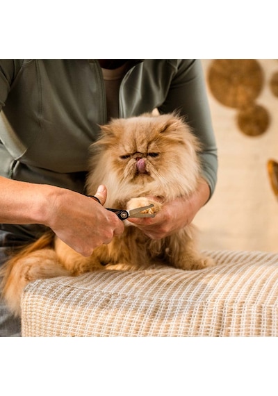 Fiskars Kedi Ve Köpek Detaylı Tıraş Makası Fk-2009124 Fiskars