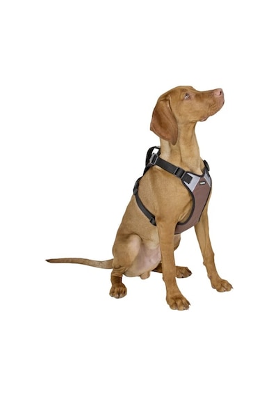 Köpek Gövde Tasması Pulsive Boyun 62-85cm - Göğüs 72-96cm Kahverengi