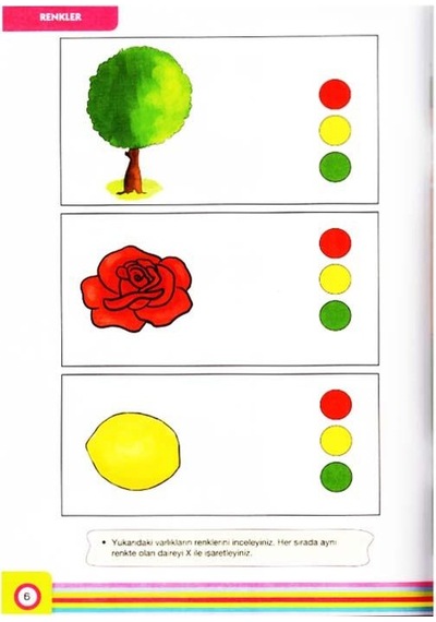 +3 Yaş Kavram Bahçesi Çamlıca Çocuk
