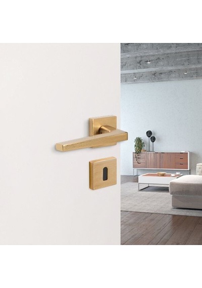 Hafele Kapı Kolu Mod Mat Altın
