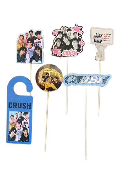 Schulzz Party Crush Müzik Grubu Pasta Süsü 6 Parça +3
