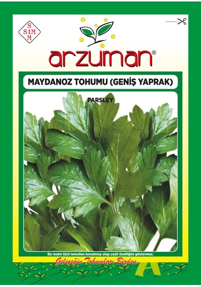 Arzuman D'Giant Italiana Maydanoz Tohumu 25 GRam