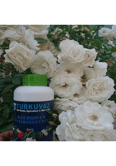 1 L Turkuvaz Bat Power Organik Sıvı Yarasa Gübresi 1 L Turkuvaz Bat Power Organik Sıvı Yarasa Gübresi
