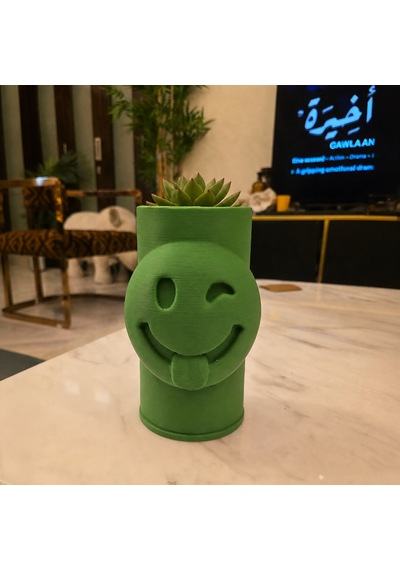 3d Baskı Emoji Planter - Göz Kırpan Yüzlü Sukulent Saksısı-yeşil Çok Renkli