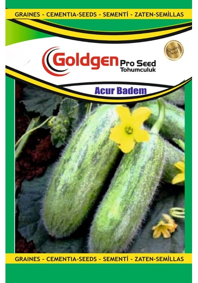 Goldgen Badem Acur Tohumu 1 Paket