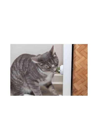 Trixie Kedi Nanesi Top Oyuncak 5 Cm