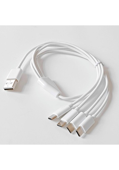 4768 4 İn 1 Usb Tip-c Şarj Kablosu Çoklayıcı 1 Metre
