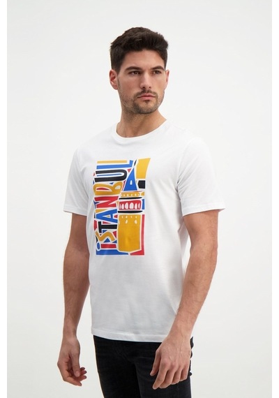 Rich Erkek Bisiklet Yaka Baskılı T-Shirt %100 Pamuk Tişört (481343905)