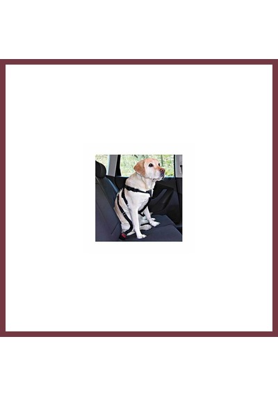 Storeşahin Köpek Emniyet Kemeri Medium 50-70 Cm Shn0720