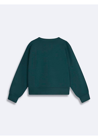 Ltb Camese Colorado Baskılı Sıfır Yaka Uzun Kollu Sweatshırt 11258107161071 3974 Çok Renkli Ltb Camese Colorado Baskılı Sıfır Yaka Uzun Kollu Sweatshırt 11258107161071 3974 Çok Renkli