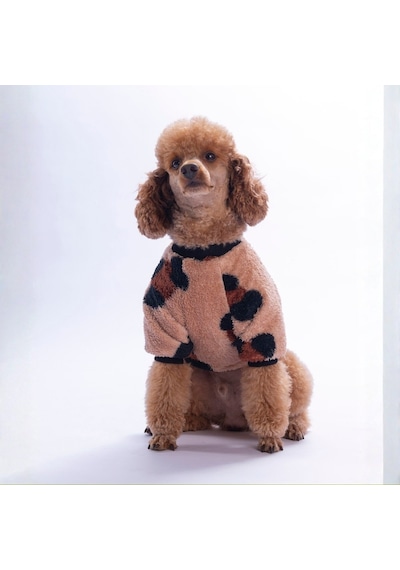 Zermatt Wild Sweat Peluş Köpek Kıyafeti Kedi Kıyafeti Köpek Sweati