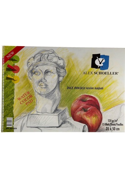 Alex Schoeller Resim Defteri Spiralli 15 Yp 35X50 120 Gr 833