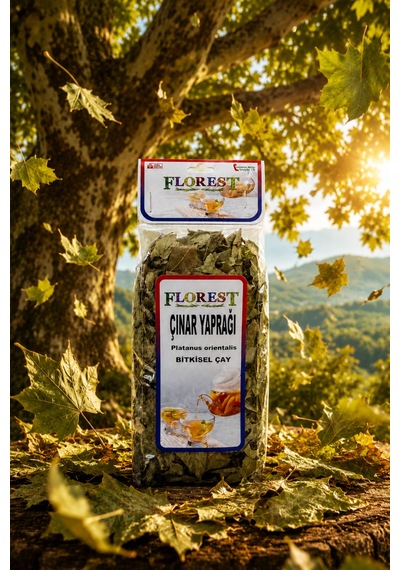 Florest Çınar Yaprağı Bitki Çayı 50 G - Çınar Yaprağı - 913944117