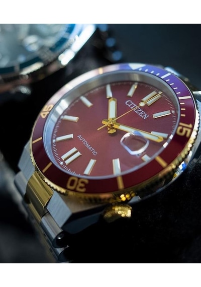 Citizen Tsuyosa Shore Coral Red Nj0234-58x Otomatik Erkek Kol Saati Metalik Gri