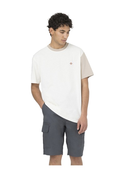 Dickies Dıckıes Mıllervılle Short Z42 Gri