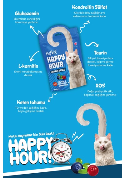 Reflex Happy Hour Somonlu Ve Yaban Mersinli Destekleyici Kedi Ödülü 60 Gr