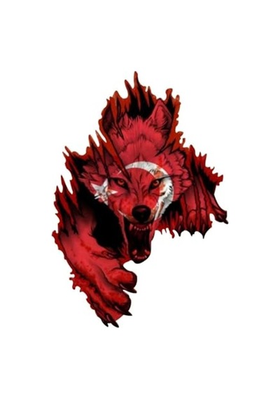 Türk Bayrağı Temalı Kurt Bozkurt Sticker, 10x7 Cm Abanoz