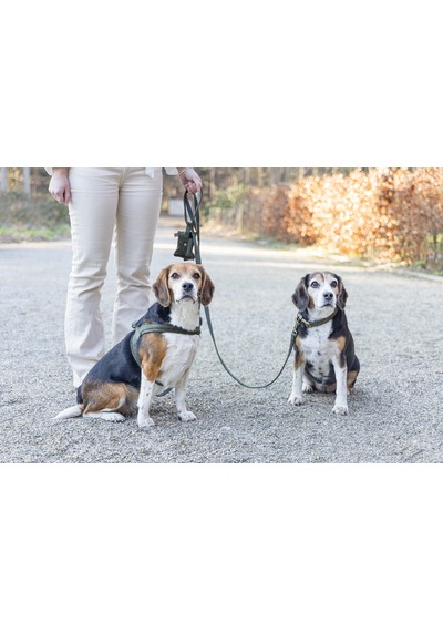 Hnrlıshp Beeztees Dbl Köpek Tasması, Kadife, Nefti, 35-50cm, 20mm Çok Renkli
