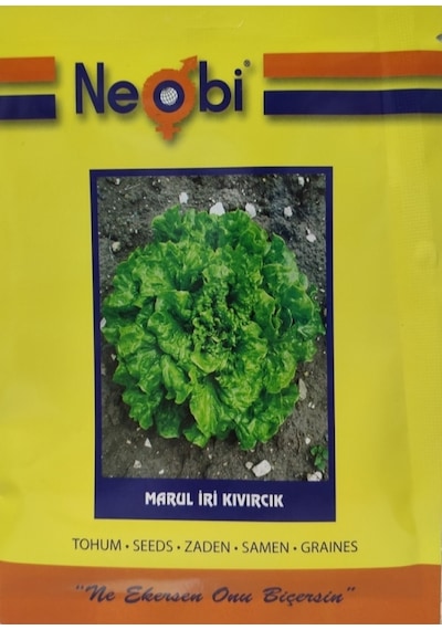 Neobi Marul İri Kıvırcık 10GR