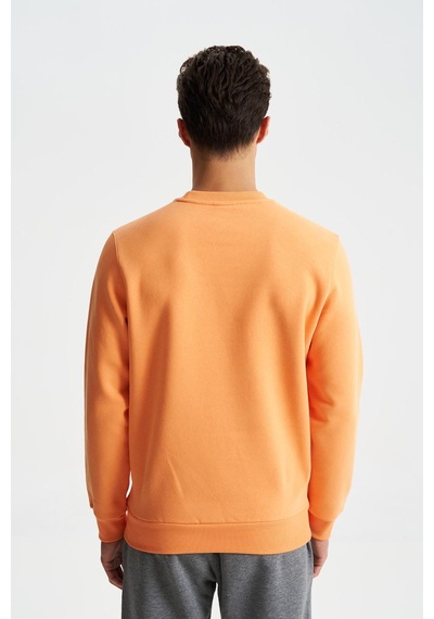 AR-MA Arma Erkek Regular Fit 3 İplik Şardonlu Pamuklu Bisiklet Yaka Sweatshirt 001