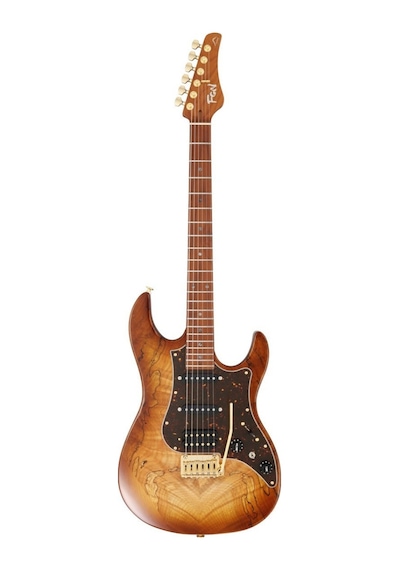 Fujigen Odyssey Elektro Gitar Eos2ew1rm/hcb